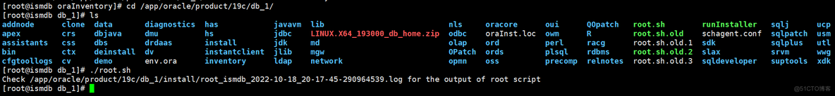 Oracle 19C静默安装详解_linux_16