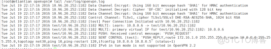 III(二十一) OpenVPN(1)_virtualPN_10