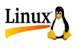 VMware虚拟机上安装Linux系统