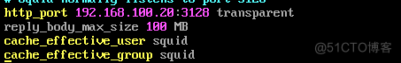 配置squid代理服务器_客户端_40