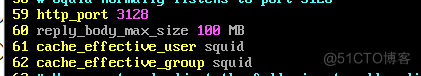 配置squid代理服务器_客户端_25