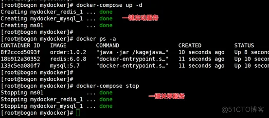 docker高级篇-docker-compose容器编排介绍及实战_Docker_19