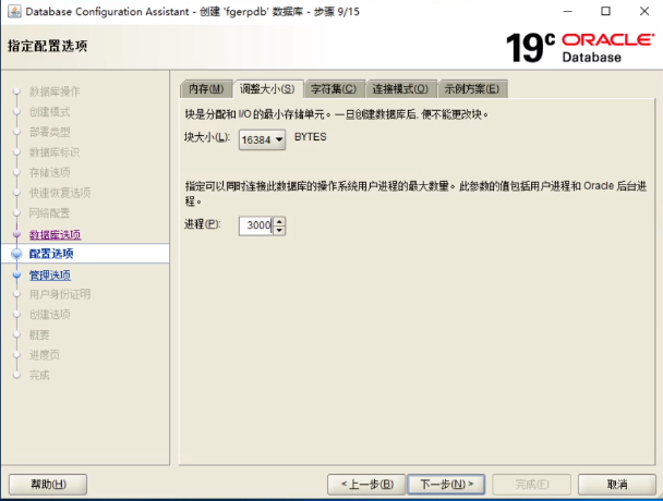 Oracle19C windows安装部署_检查点_29