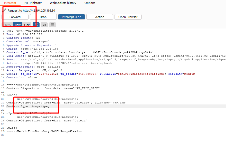 DVWA靶机-全级别测试-文件上传_抓包_23