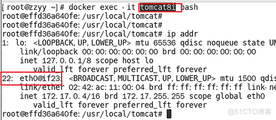 Docker网络中篇-docker网络的四种类型_Docker_11