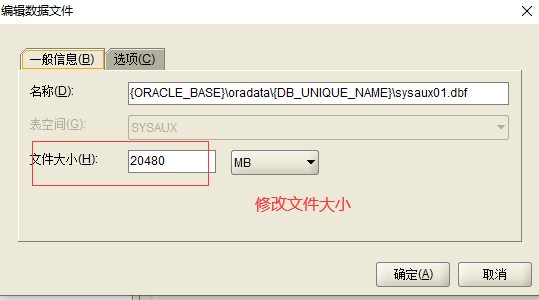 Oracle19C windows安装部署_检查点_39