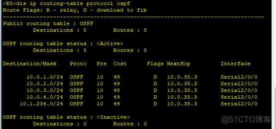路由基础之OSPF LSA详细讲解_序列号_10