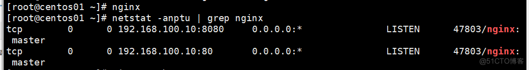 配置Nginx虚拟主机_Nginx_27