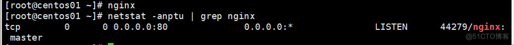 配置Nginx虚拟主机_MySQL_13