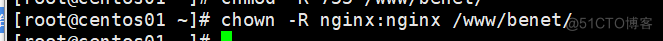 配置Nginx虚拟主机_Nginx_85