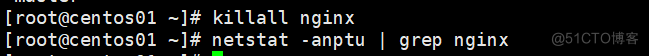配置Nginx虚拟主机_配置文件_14
