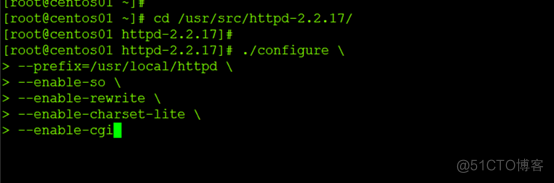 安装配置Apache服务_DNS_16