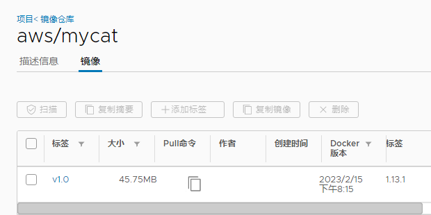   GitLab CICD Day 16 上传到docker harbor_docker_02