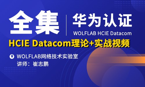 【全集】华为认证HCIE Datacom培训考试学习视频-WOLFLAB实验室