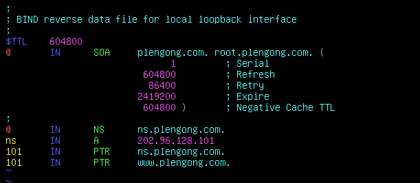 Debian-BIND9域名解析实验-BIND9_IP_05