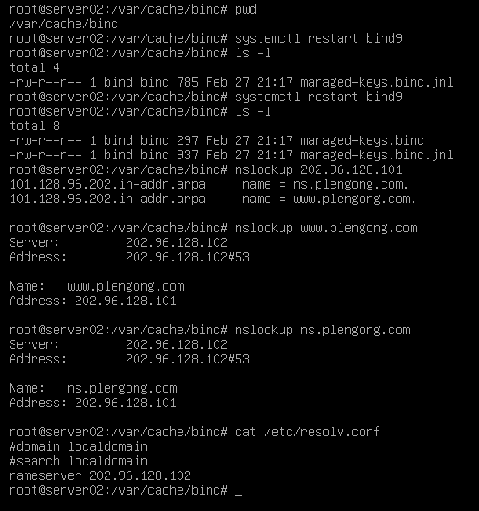 Debian-BIND9域名解析实验-BIND9_域名解析_14