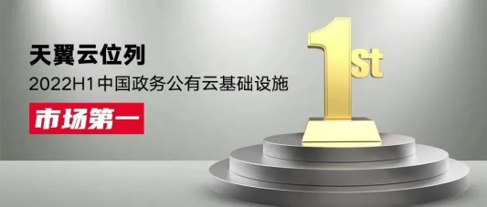  领导者！天翼云蝉联政务公有云基础设施市场第一_公有云