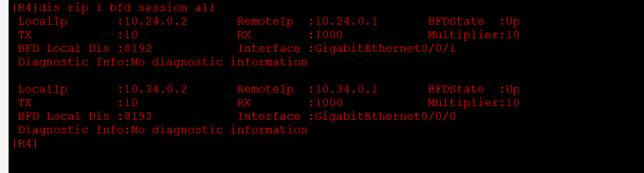 Huawei-RIP+bfd+IPSec+单臂路由_ipsec_15