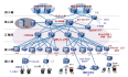 IP网络的基本结构