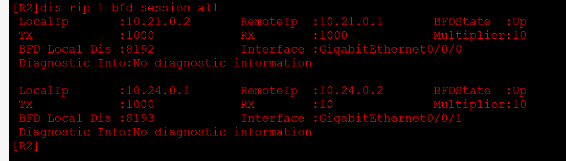 Huawei-RIP+bfd+IPSec+单臂路由_单臂路由_13