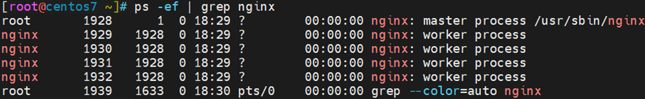 CentOS 7.9 Elasticsearch V5.6.8 9200端口未授权访问漏洞修复_Nginx_14