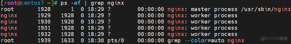 CentOS 7.9 Elasticsearch V5.6.8 9200端口未授权访问漏洞修复_Nginx_14