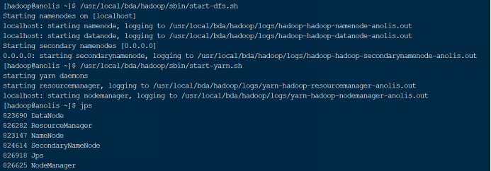 零基础也能学会！Hadoop伪分布式集群安装与配置实践_HDFS_20