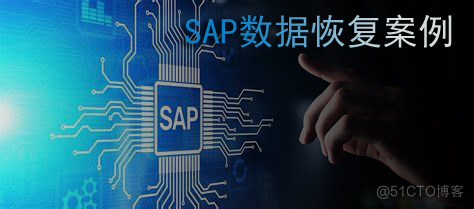 【服务器数据恢复】SAP应用+Oracle数据库数据库数据恢复案例_数据恢复