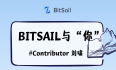 对话 BitSail Contributor | 刘啸：参与开源，提升自我技术力