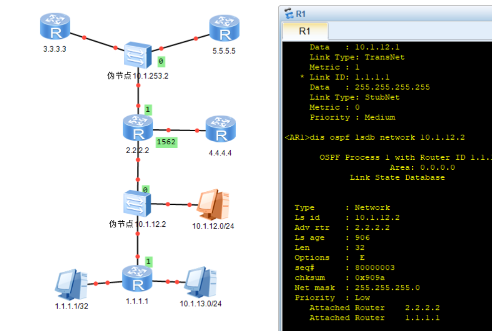 OSPF--域内路由计算_Data_17