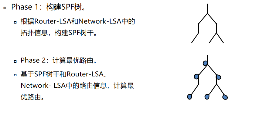 OSPF--域内路由计算_链路_02