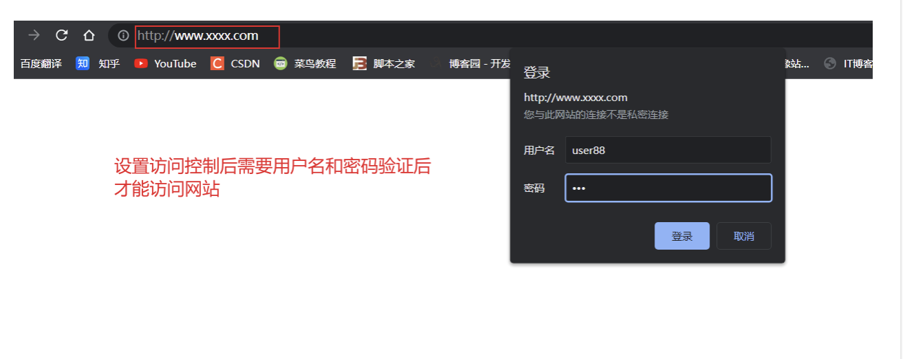 Nginx 服务_反向代理_06