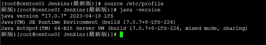             Jenkins部署静态网站_Apache_04