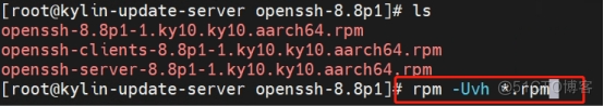 OpenSSH资源管理错误漏洞(CVE-2021-28041)修复_新版本