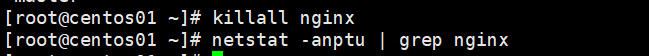 配置Nginx虚拟主机_虚拟主机_13