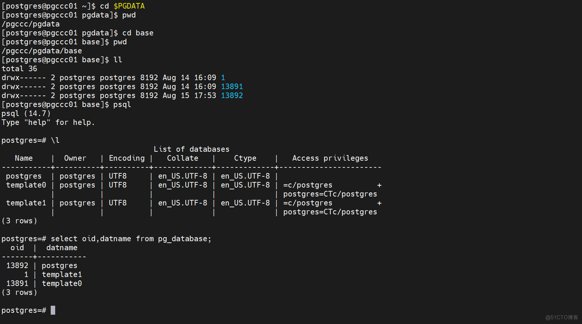 PostgreSQL-基础知识(集簇、数据库、表)_子目录_04