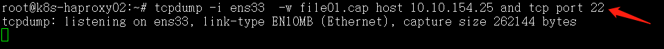 Linux 网络抓包工具 Tcpdump使用 并使用wireshark打开cap文件_linux_04