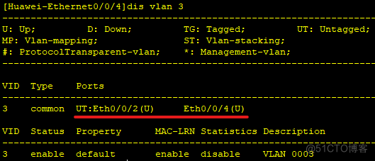 VLAN技术与应用_Ethernet_04