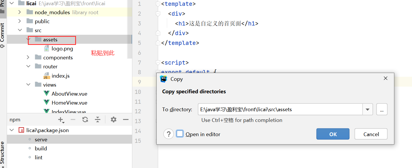 搭建vue环境和开发工程_nodejs_36