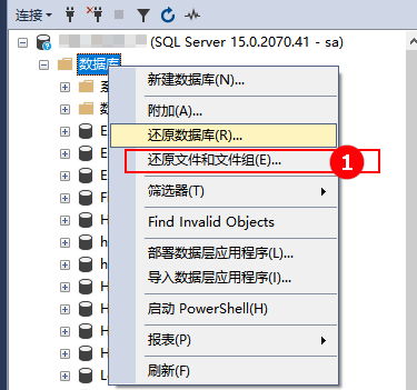 SQL Server 还原文件文件组_Server_02