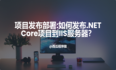 项目发布部署：如何发布.NETCore项目到IIS服务器？