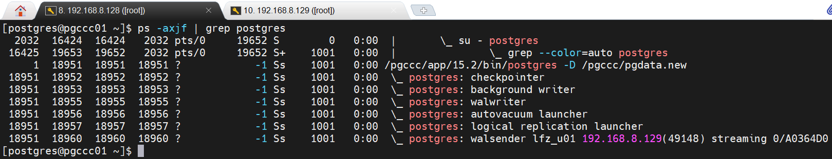 PostgreSQL-流复制 多机同(异)步 一主一备_pg_basebackup_10