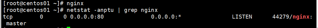 配置Nginx虚拟主机_nginx_12