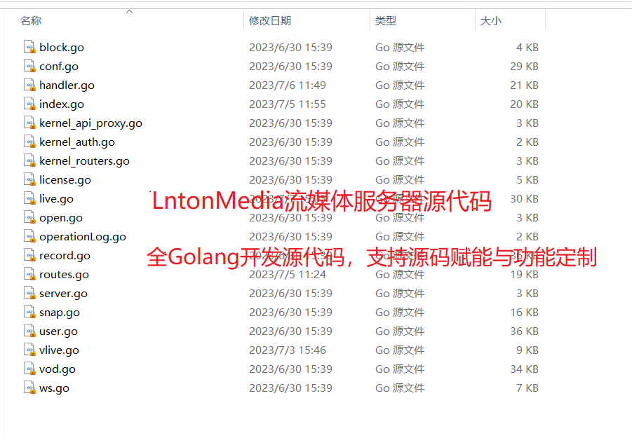 RTMP流媒体服务器LntonMedia（免费）视频平台录像回看出现了推流计划之外的录像文件的问题解决办法_物联网_05