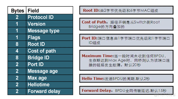 Cisco CCNA——Spanning Tree Protocol（STP）_生成树_09