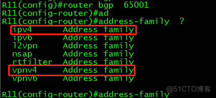 CCIE BGP Address-family_address-family ipv4