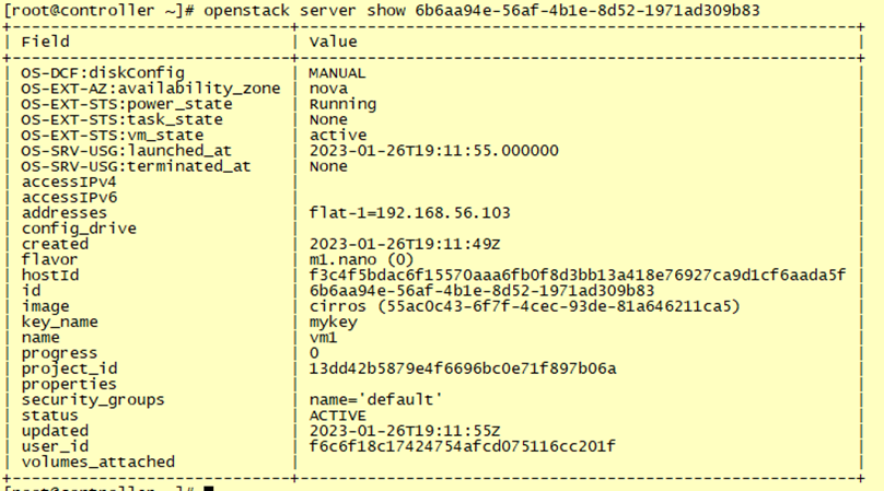 OpenStack(Train版)-部署Neutron（一）_虚拟网络_16