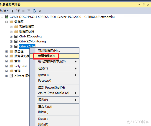 Citrix SQL数据库查询和替换修改字段_右键