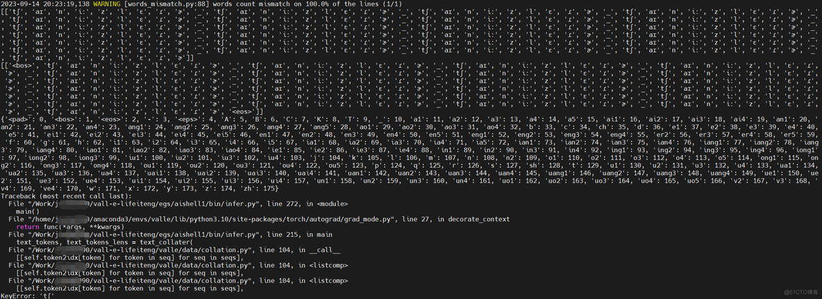 valle 中文推理时出现KeyError: 