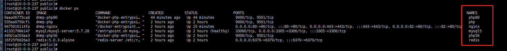 SwiftAdmin 框架 webman 配置 nginx 代理不正确问题_php_03